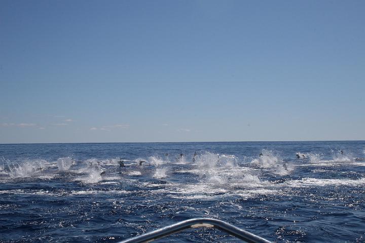 Azul 017.jpg